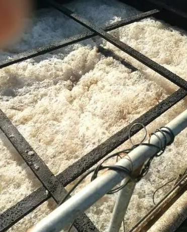 (图:好氧池污水起泡原因)