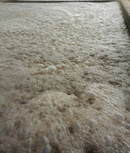 (图:污水池泡沫)