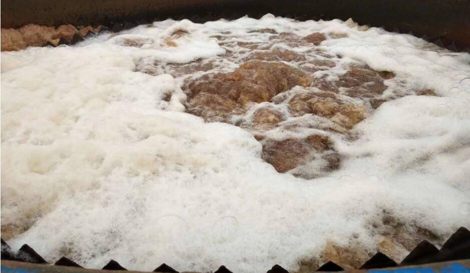 (图:污水处理厂出水有白色泡沫)
