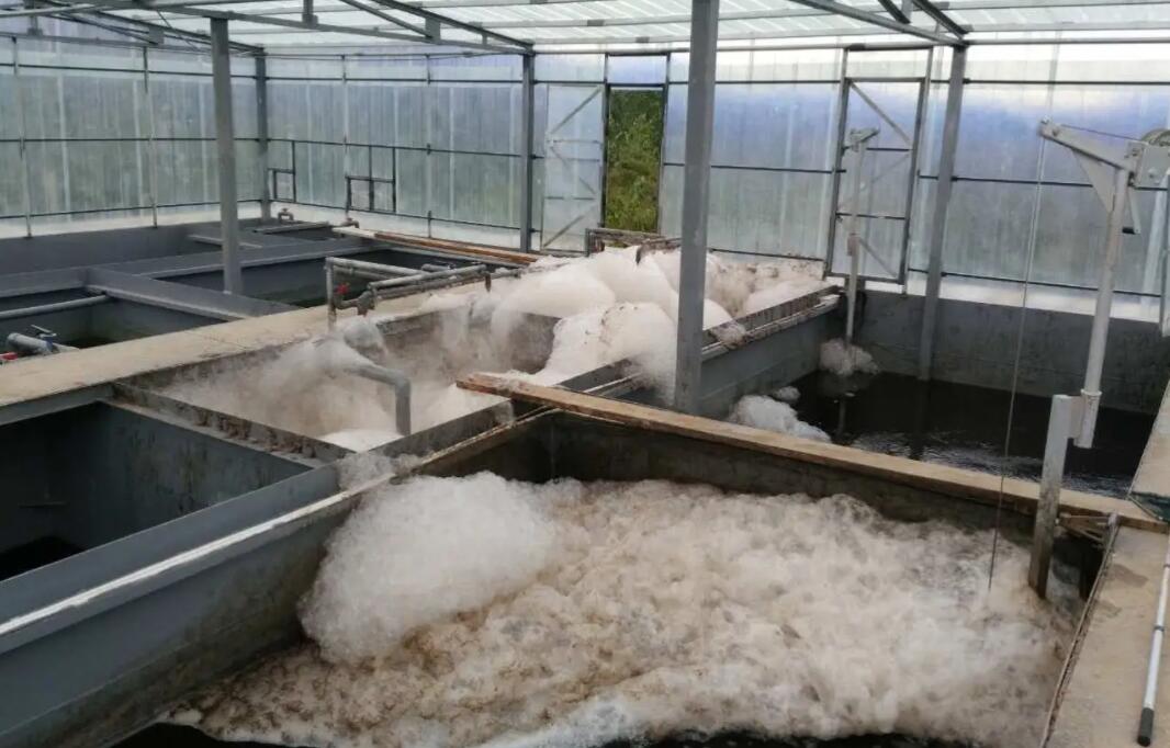 水处理消泡剂